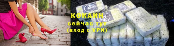 прущие грибы Красноперекопск