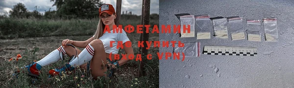 шишки Весьегонск