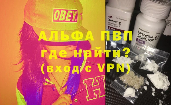 амф Коряжма